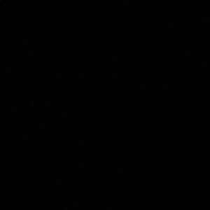 Meet your Posher, Tenzin